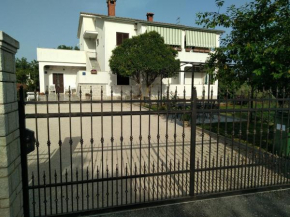 Apartments VESNA